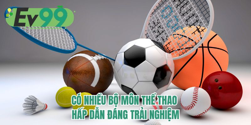 Có nhiều bộ môn thể thao hấp dẫn đáng trải nghiệm